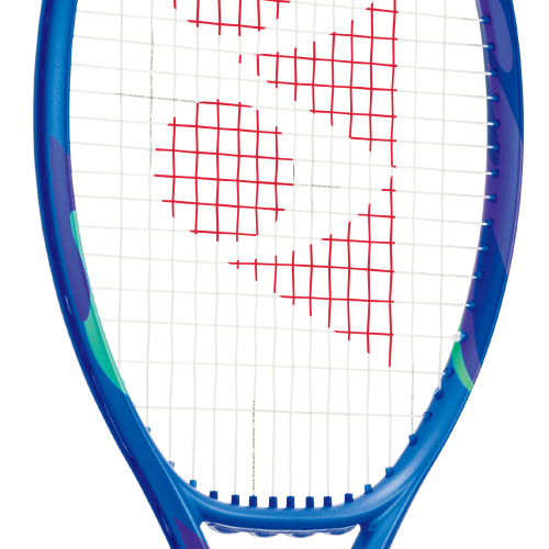 ウインザーオンラインショップヨネックス Eゾーン 98L （YONEX EZONE