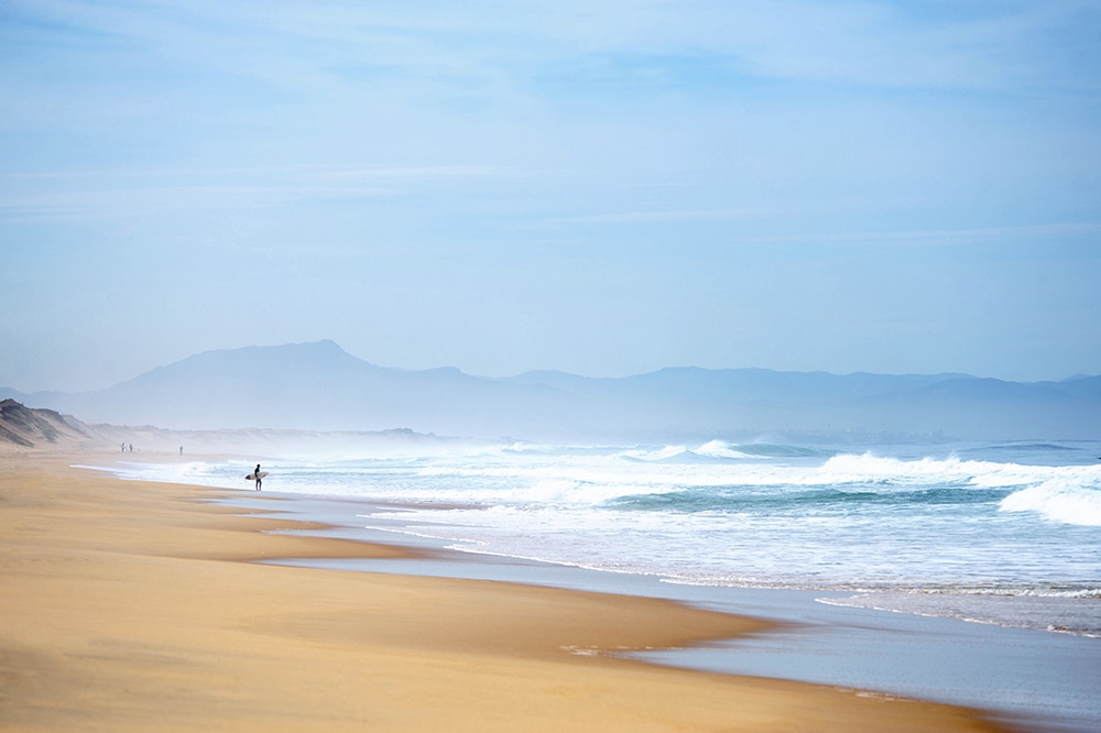 WTW×MORGAN MAASEN 2022｜【公式】WTW通販｜サーフスタイルの家具