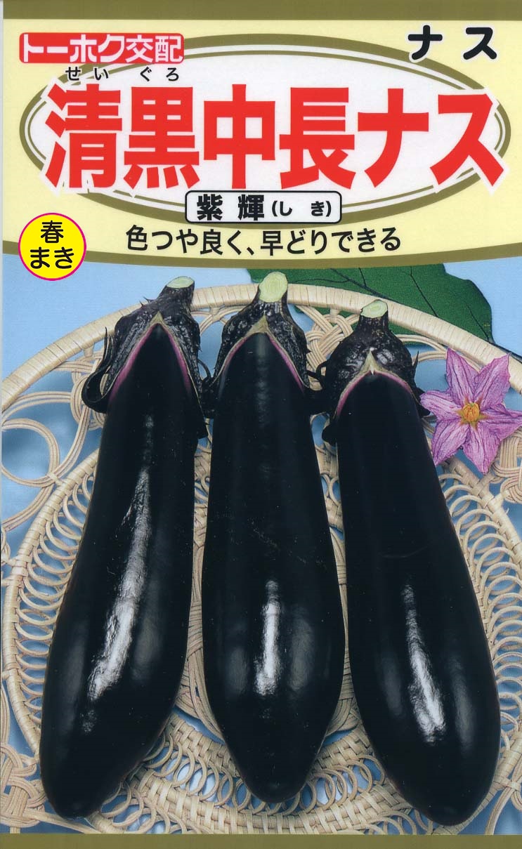 ナス | 野菜のタネ | 株式会社トーホク