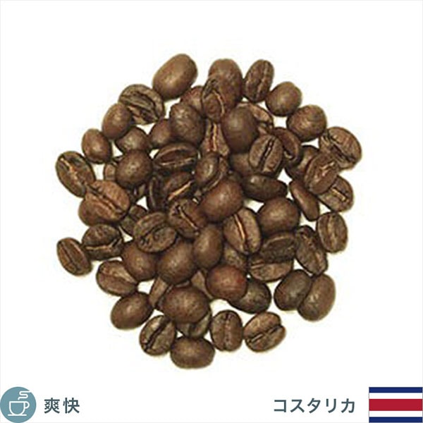 みなっきー】【新品】コーヒー豆（生豆）コスタリカ みなっきー