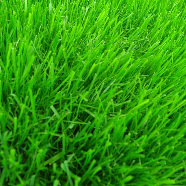 新配合]西洋芝のタネ｜ J.ガーデングラス（芝生の種）【1.5リットル