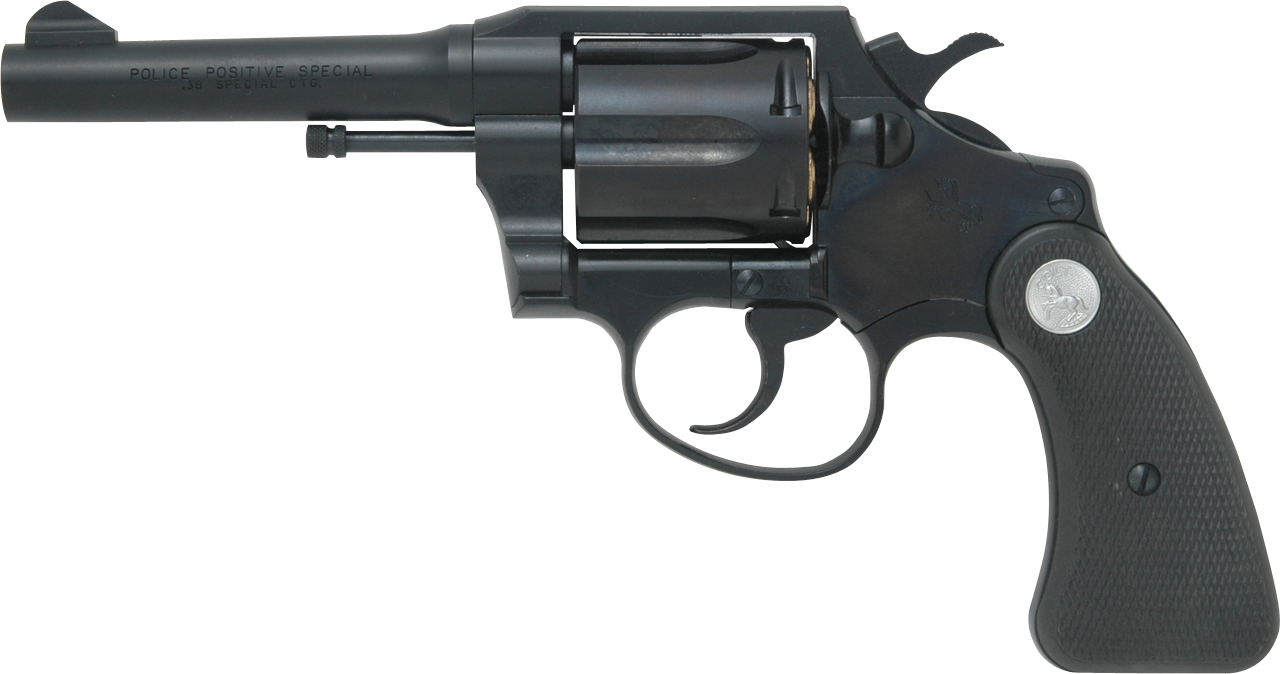 COLT ポリスポジティブ・スペシャル | TANAKA WORKS