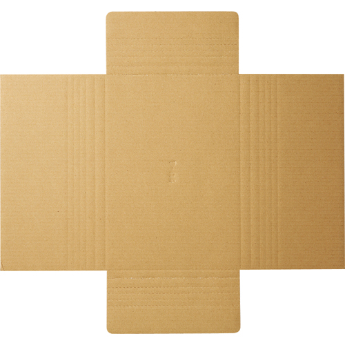 たのめーる】TANOSEE タトウ式段ボール Bフルート A4用 1パック(50枚