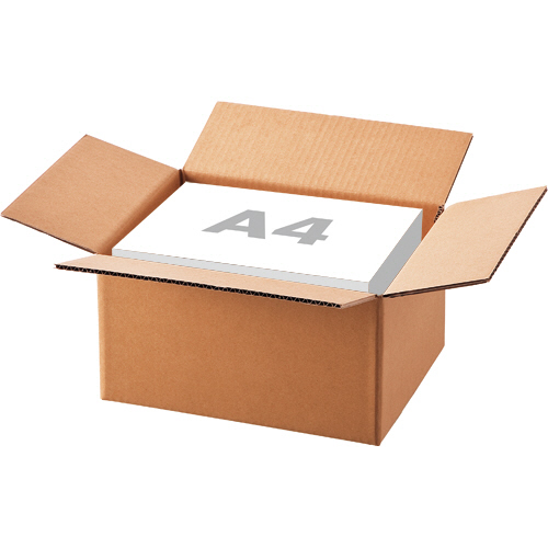 たのめーる】TANOSEE 無地ダンボール箱 A4判対応 軽量 Aフルート 高さ