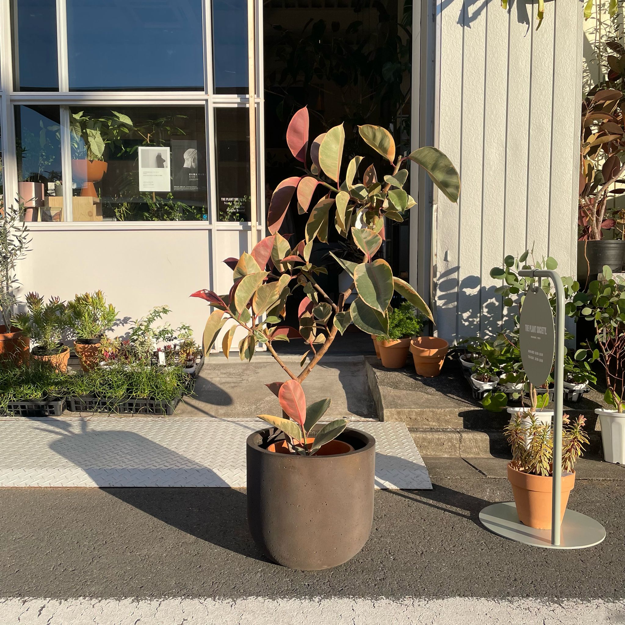 ラウンドUプランターモノI 大きな植木鉢 I プラントソサエティ