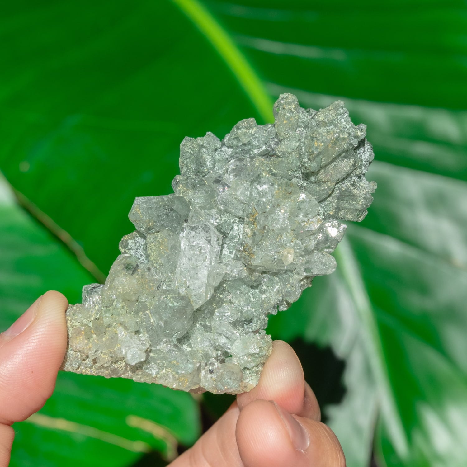 水晶の商品一覧 - TIRAKITA.COM