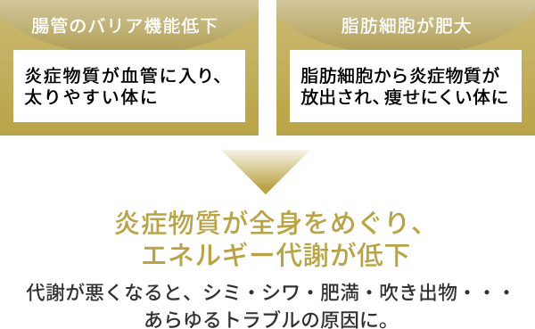 Corrm（コルム）ダイエットサプリメント | 東京美容外科