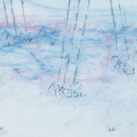 夏のぬけがら （LP） / 真島昌利 - 徳間ジャパン|Tokuma Japan