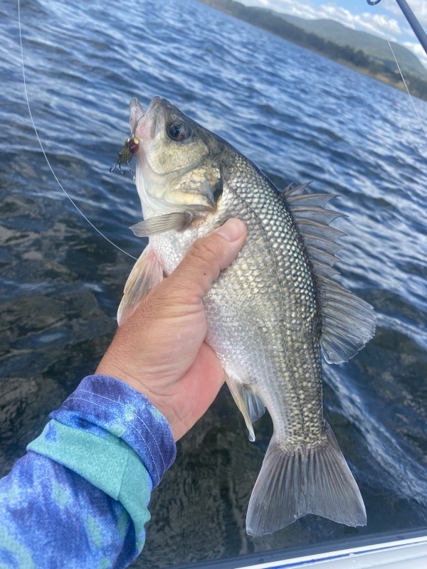 バス釣り 引退 バス釣り バス釣り引退セット（ルアー系） バス釣り