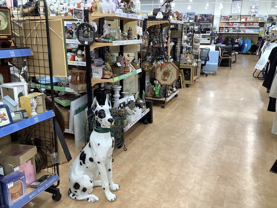 インパクト抜群！ダルメシアンの置物をご紹介！！｜2022年04月27日