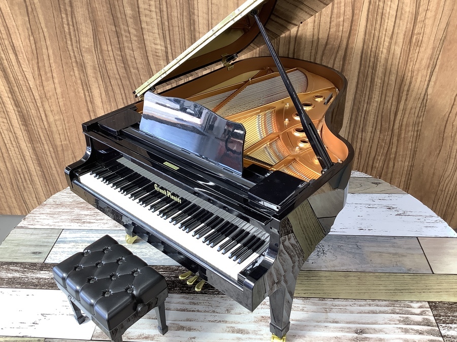 Grand Pianist ピアノコンサートプレイヤー Grand Pianist ピアノ
