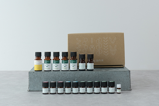 2024年福袋 一般販売のお知らせ｜生活の木からのニュース｜生活の木