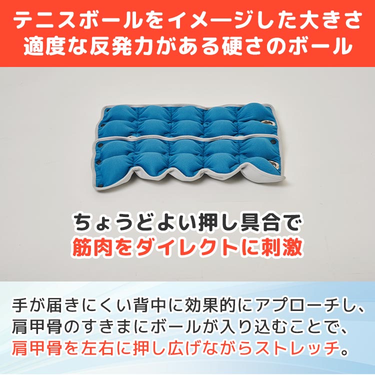 期間限定販売】ルネサンス キューフィッタープロ｜テレ東マート