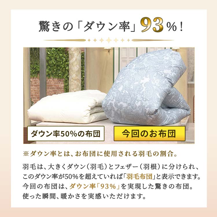 新品【六つ星】ブラック ＊フランス産95％＊増量1，2キロ＊二層式