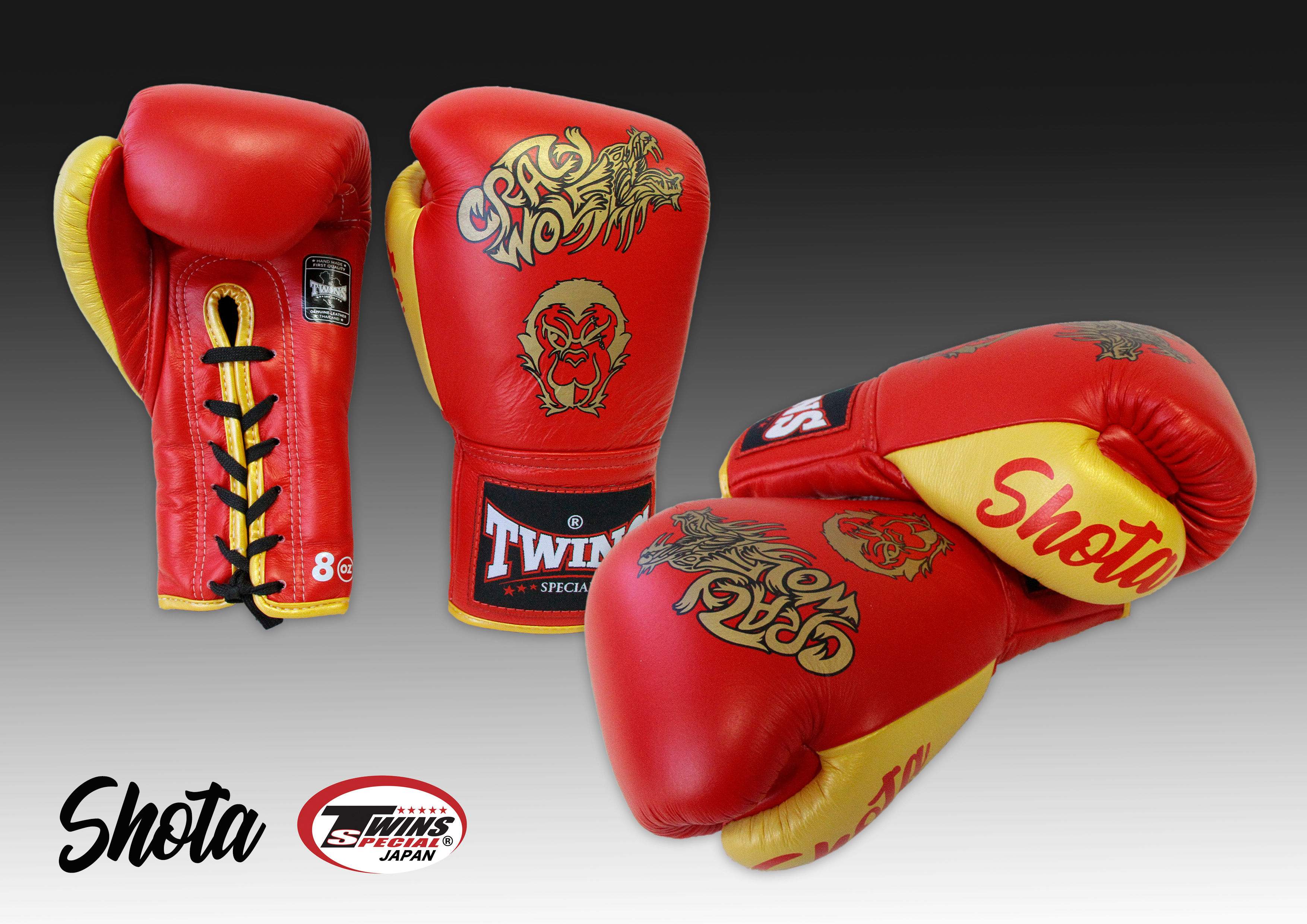 制作実績2【TWINS JAPAN】