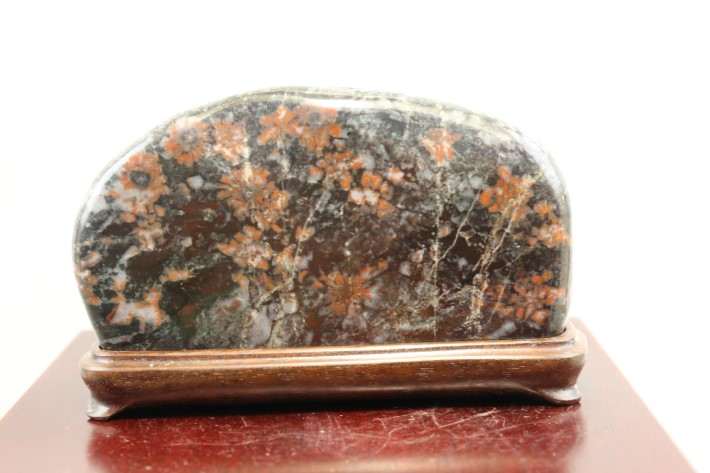 菊花石（台座付) A3660☆根尾谷産 添景 添配 水石 盆石 鑑賞石☆「送料