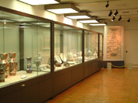 行ってきました見てきました