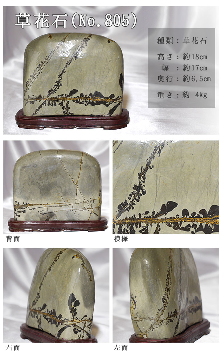 ピクチャーストーン】草花石No.805（観賞用鉱石）