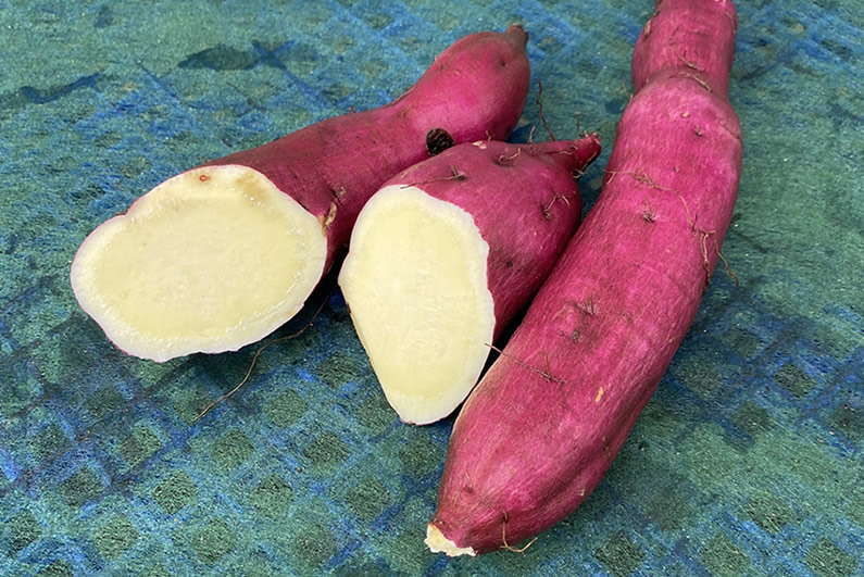 ふかし芋向きのさつまいも