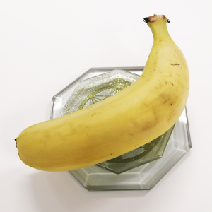 ムーエナジークリスタル Octagon – ヒーリンググッズ専門店