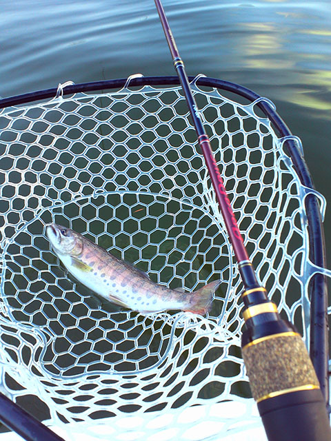 エリア】エリアドライブのすゝめ – 株式会社バリバス