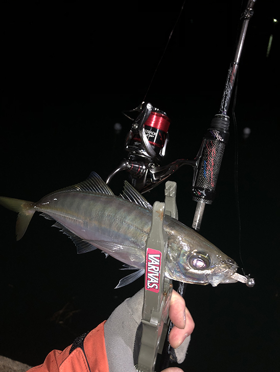 赤いバラ モーリス バリバス グラファイトワークス XT601RX 赤いバラ