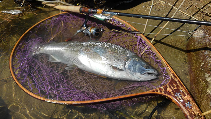 モーリス グラファイトワークス トラウトロッド サクラマス 【公式通販】