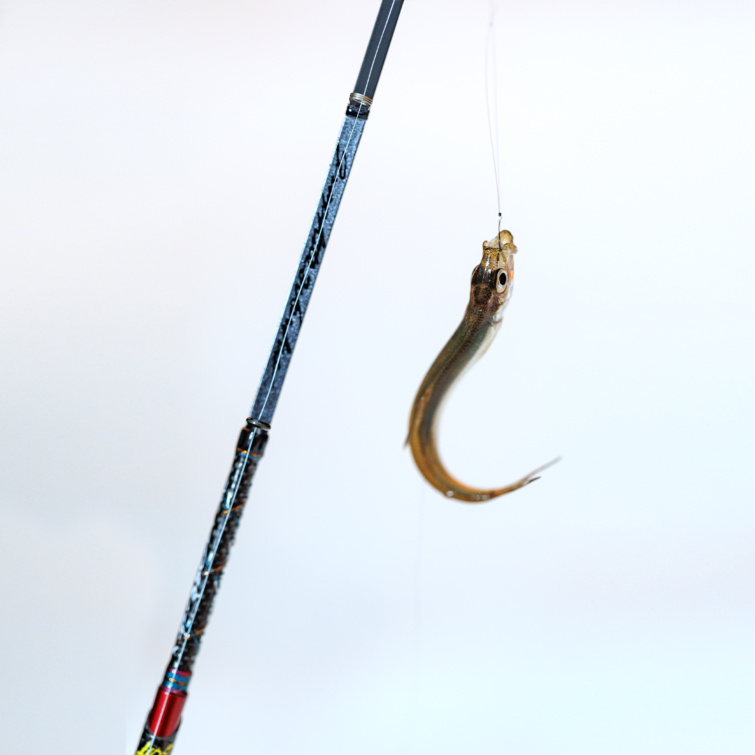 ワカサギ穂先 MAX299＜改＞ - 製品情報 - 株式会社バリバス