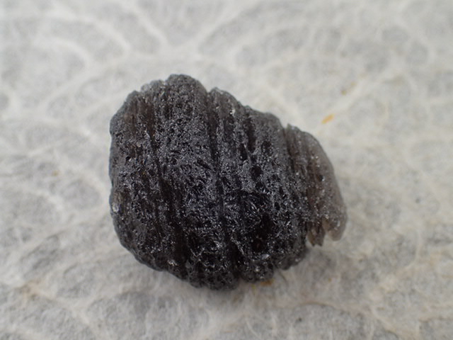 最高品質アグニマニタイト（Tektite系隕石) インドネシア 産 ｜石の