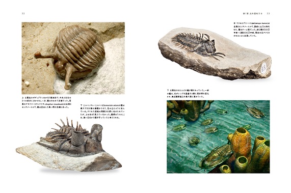 X-Knowledge | 大英自然史博物館シリーズ 4 動物が見ている世界と進化
