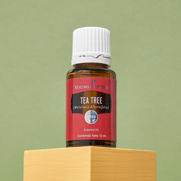 10％OFF 今月の注目製品！｜長く愛される5つの定番製品を10％OFFでお