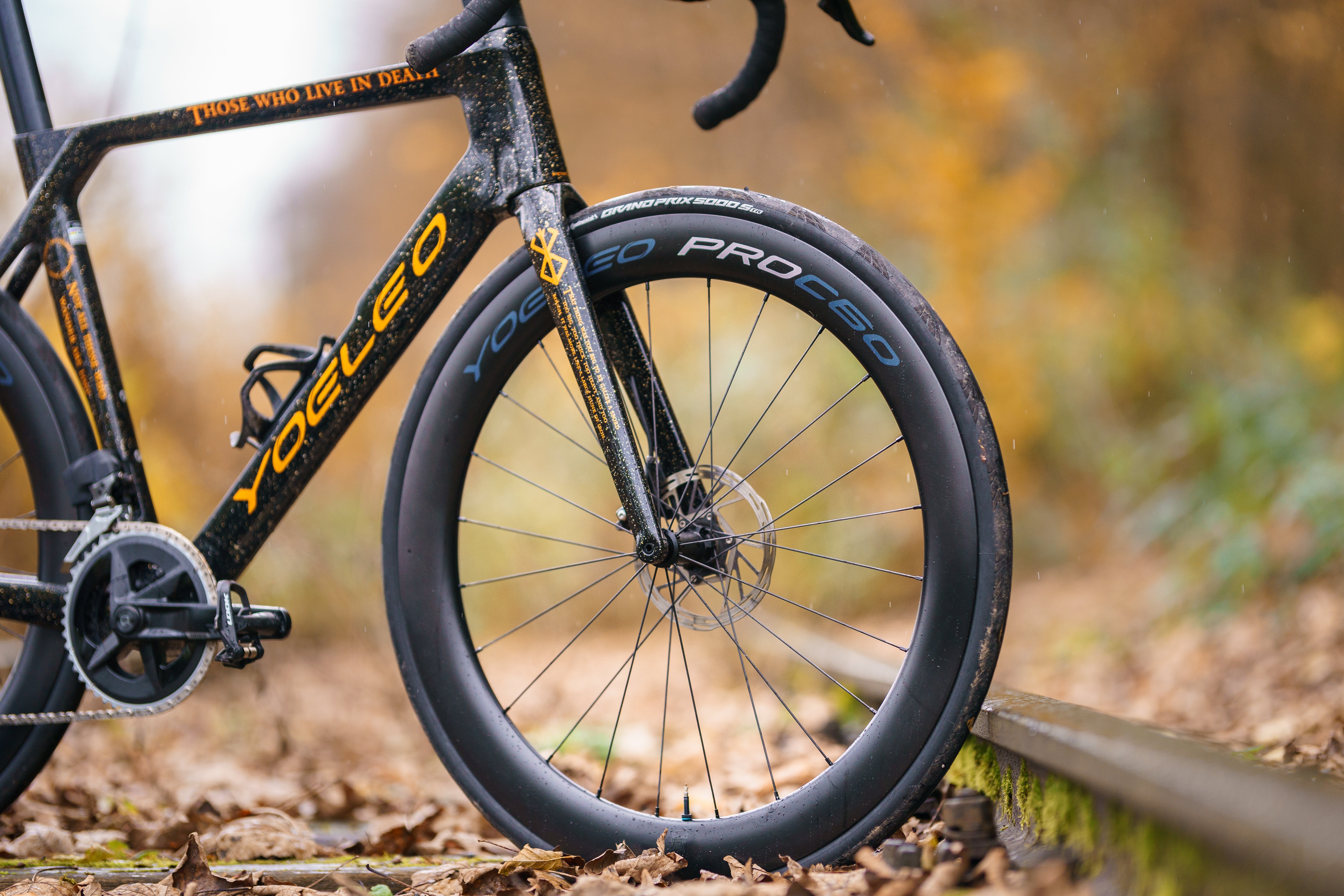 Road Gravel Carbon Wheelset - YOELEO SAT C50 DB PRO NxT – Yoeleo