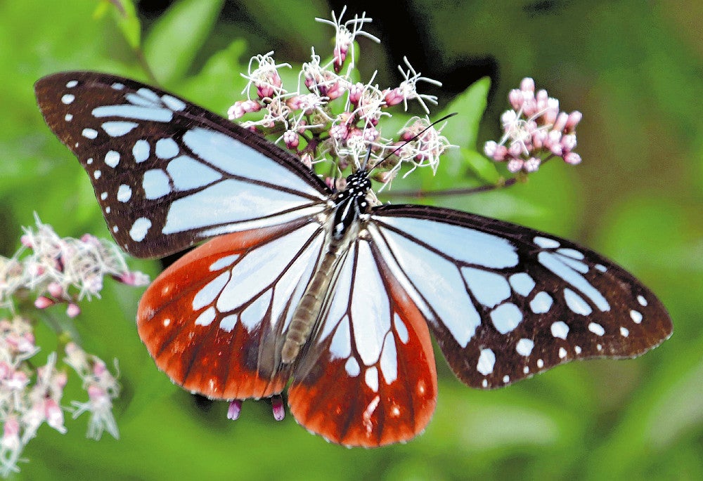 20221020-OYT1I50006-1.jpg?type=ogp