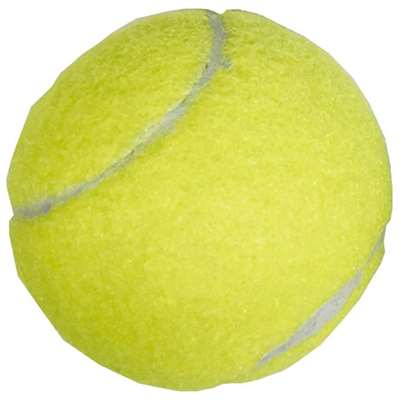 ライテック 硬式テニスボール 2個入 [スポーツ 練習球] MS129 テニス