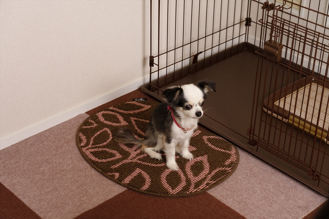 リーフレッシュ消臭マット ビーンズ 45×60 | 山崎産業株式会社 家庭