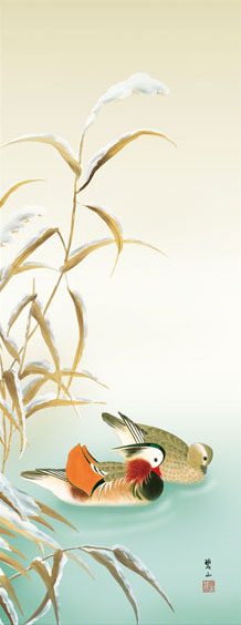 花鳥の掛け軸 唐沢碧山作 四季咲彩 鴛鴦