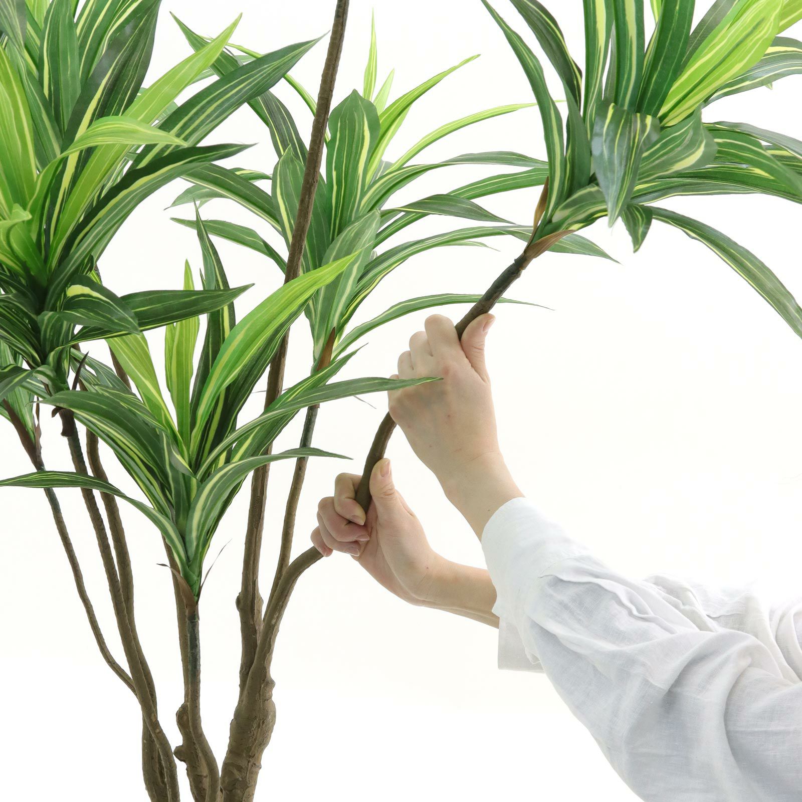 No8271 プレミアム光触媒フェイクグリーン 「爽やかな斑入り葉