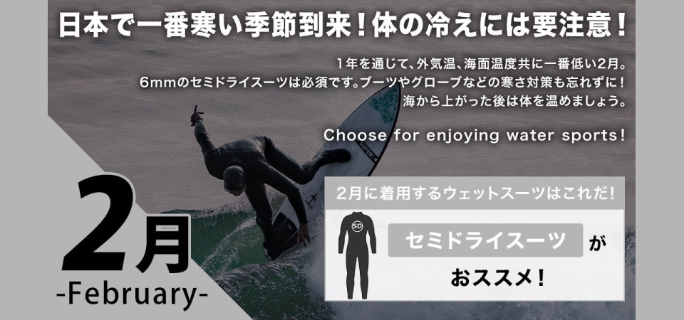 サーフィン ウェットスーツ メンズ シーガル バックジップ 通販