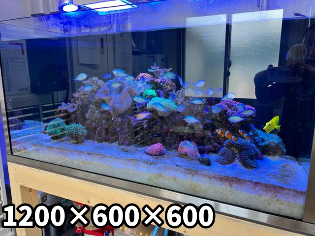 山梨県W・Hさま オーバーフロー水槽セット（1200×600×600）(1200×400