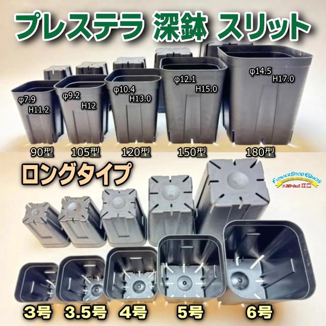 プレステラ深鉢 105-黒(硬質スリットポット)深型＠多肉植物・塊根植物