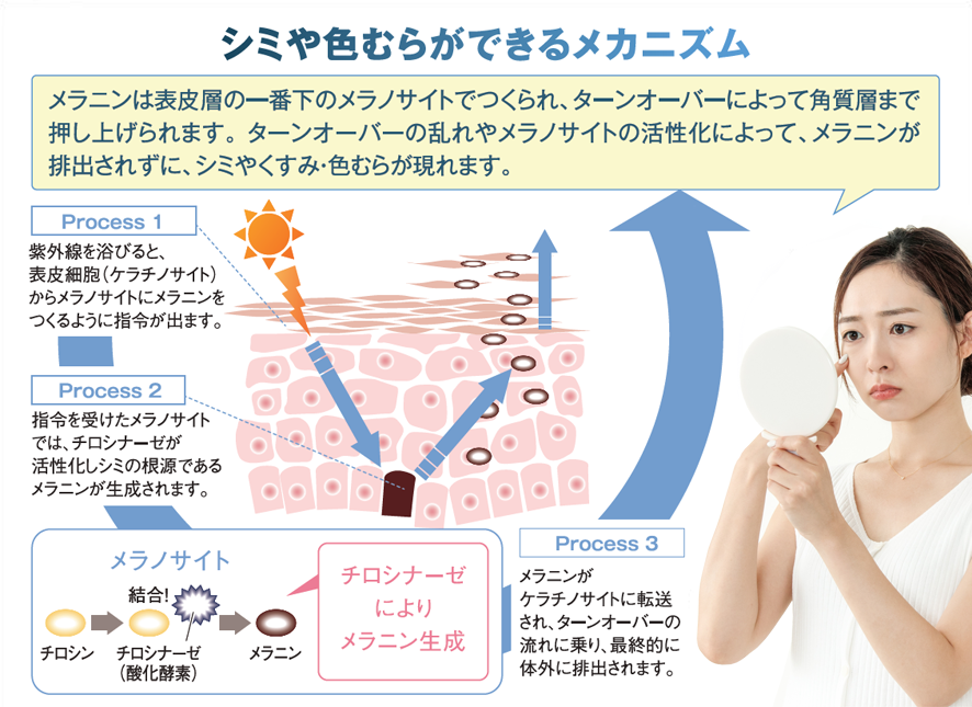 インナップ ホワイトピュアエマルジョン｜スキンケア・メイク化粧品の