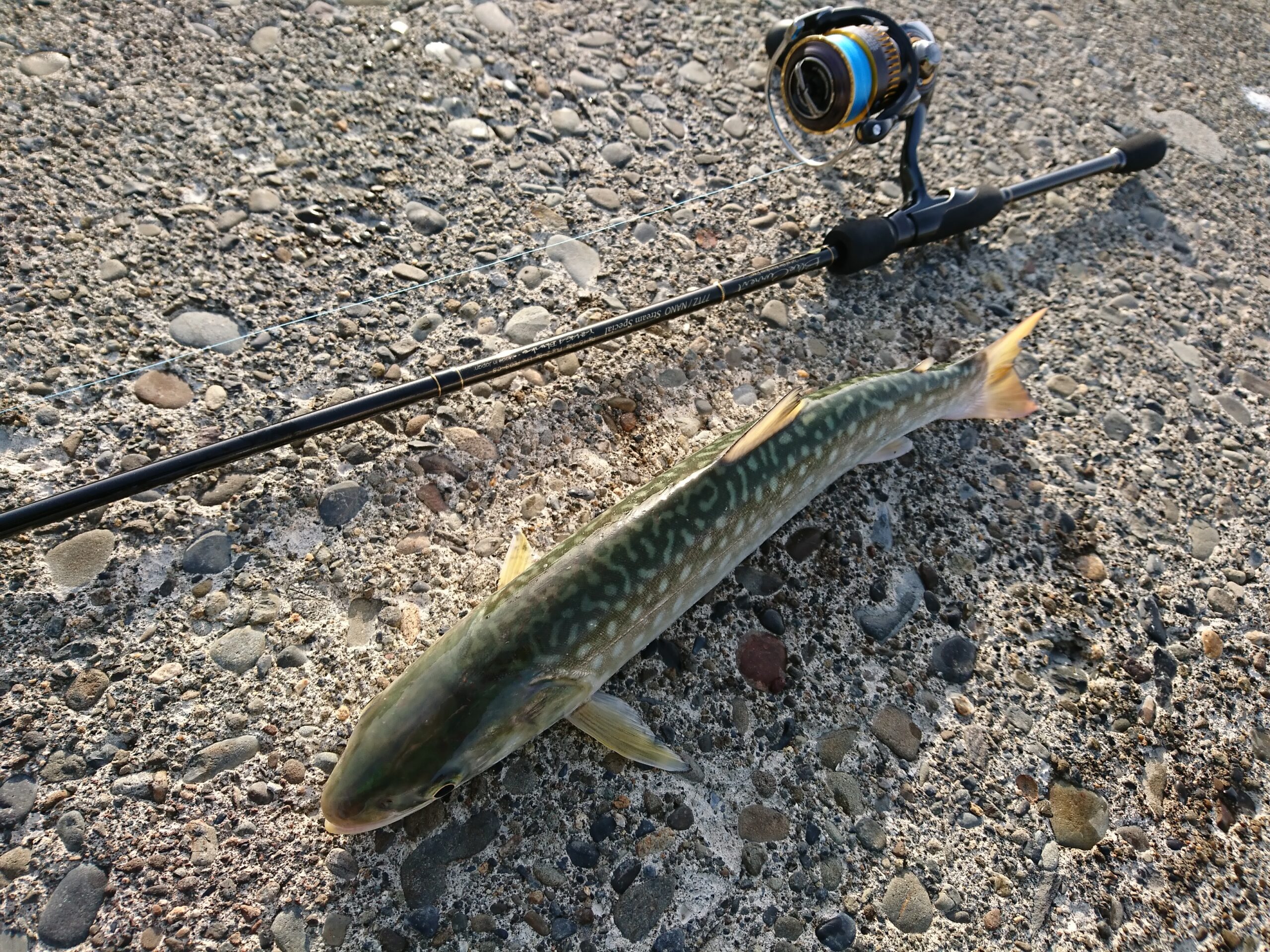 ブルーカレント 77TZ/ NANO ヤマガブランクス アジング 訳あり美品