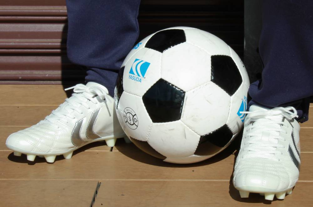 Ligaresta Pro-ex2 / YASUDAオンラインストア