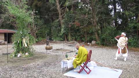 法螺貝とは | やすらか庵