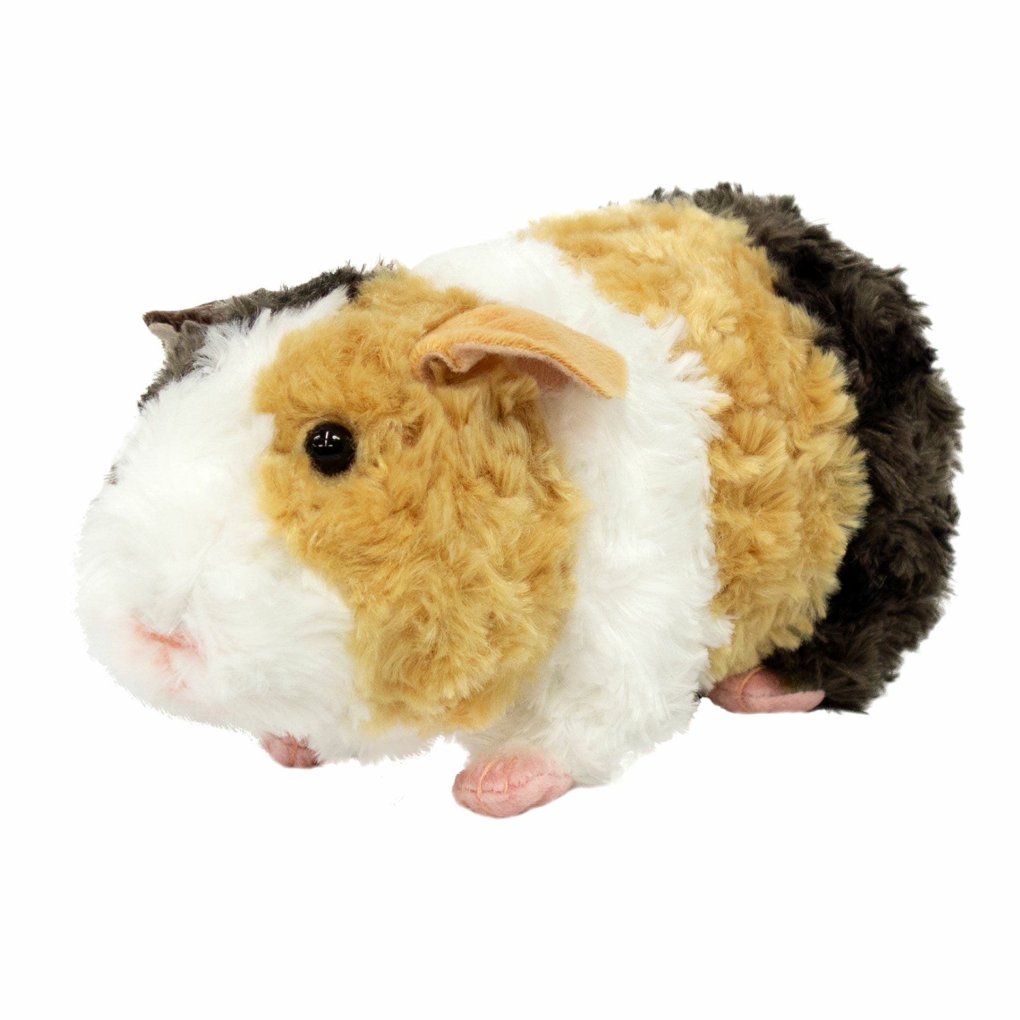 モルモット テディ | 雛人形（ひな人形）・五月人形の吉徳 オンライン