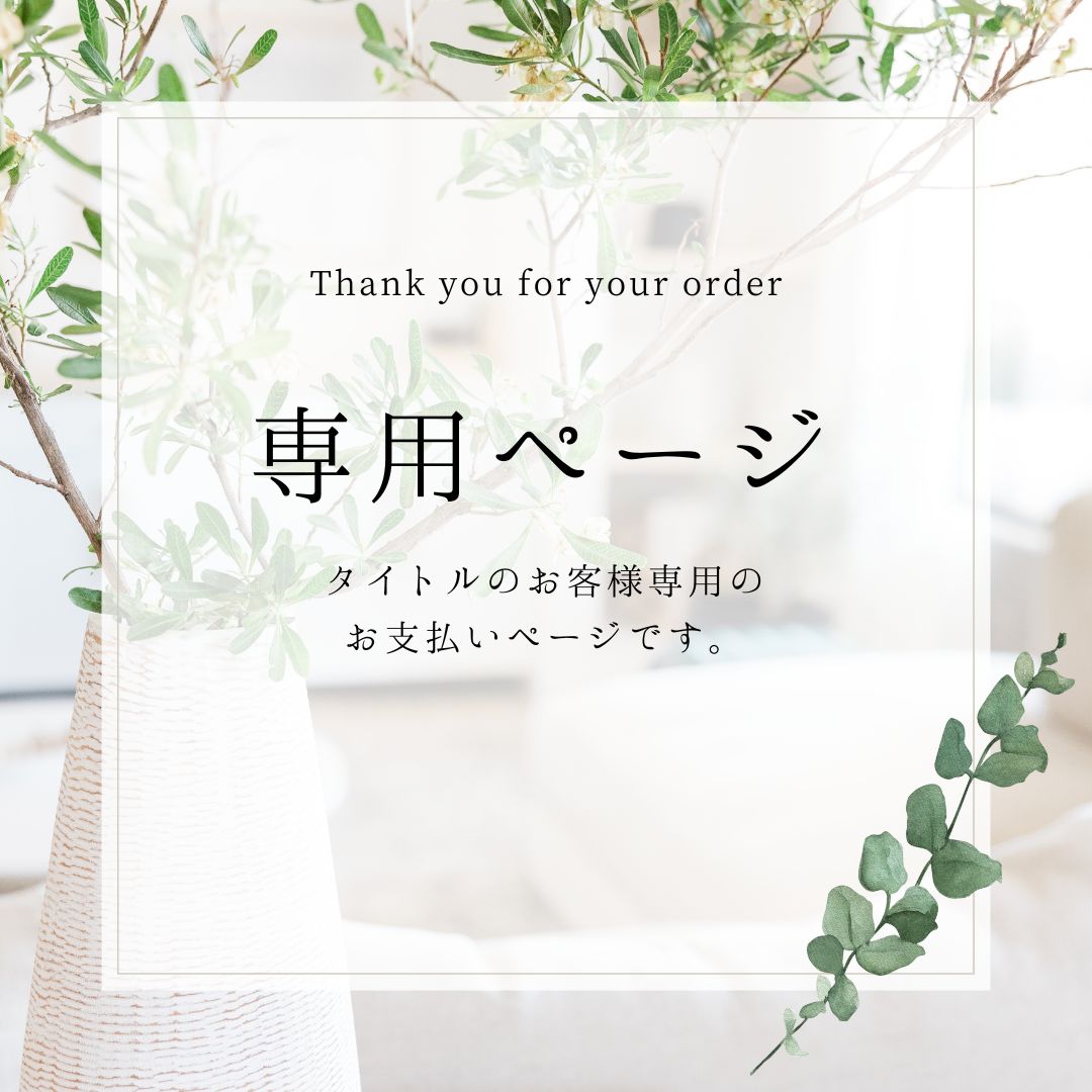 s.fooさま専用です。 Sさま 専用 s.fooさま専用です。 ズーム直流電源