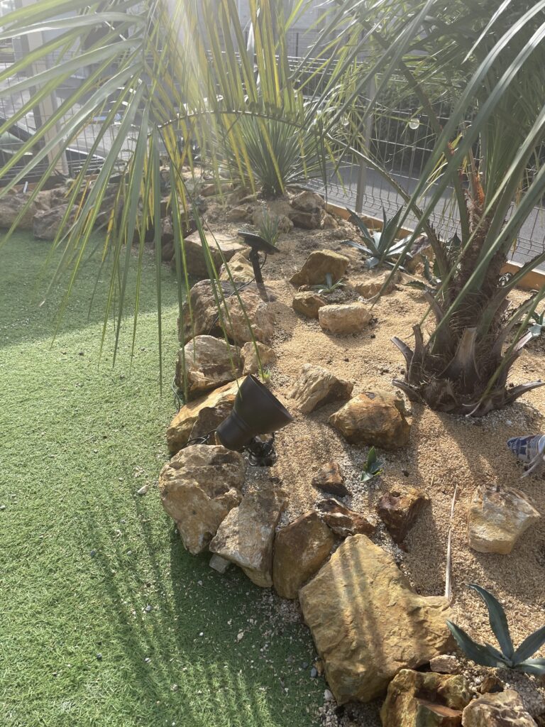 ドライガーデン・ロックガーデンに使う石について紹介！どこで買う