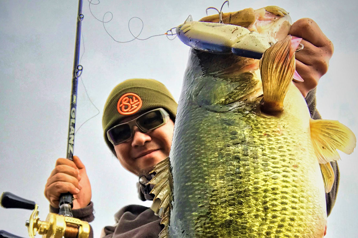 ゼナック グランツ 80-25X 【公式通販】