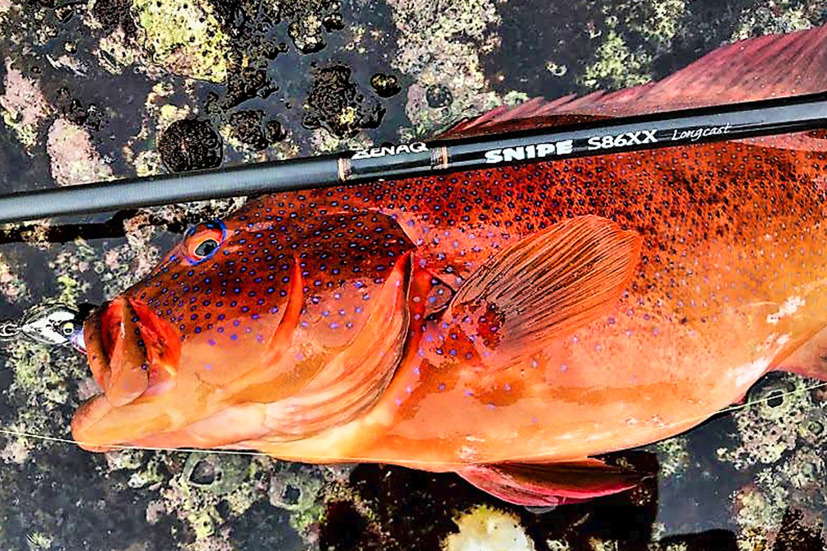 ZENAQ SNIPE S86xx longcast超美品 ZENAQ SNIPE S86xx longcast超美品