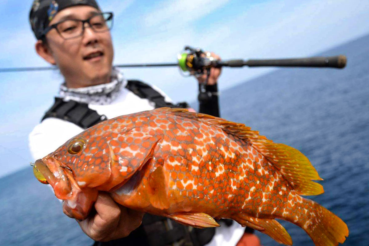 ゼナック スナイプ S76X S78XX S86XX 全機種セット 入手困難品